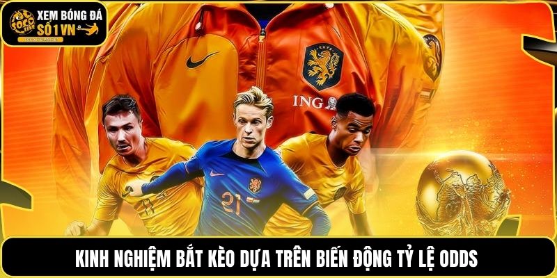 Kinh nghiệm bắt kèo dựa trên biến động tỷ lệ Odds