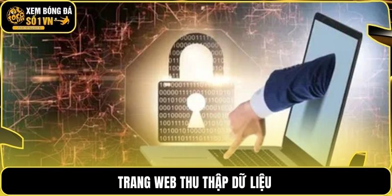 Trang web thu thập dữ liệu