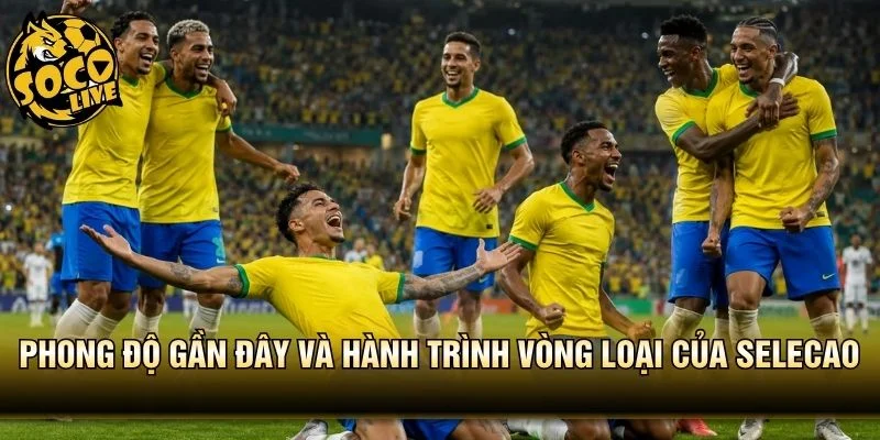 Phong độ gần đây và hành trình vòng loại của Selecao