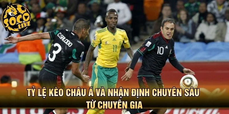 Tỷ lệ kèo châu Á và nhận định chuyên sâu từ chuyên gia